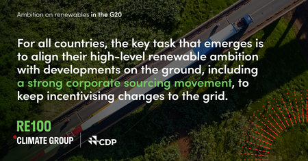 RE100 - Ambition on Renewables in the G20