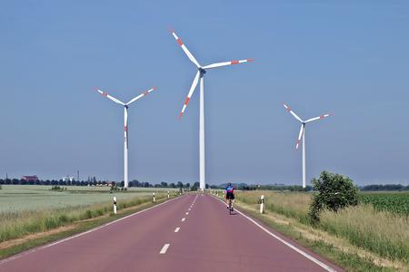 windfarm on road
