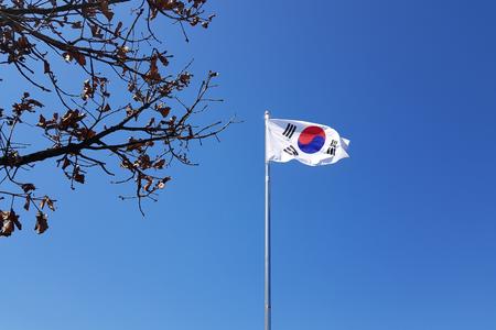 Korea flag large